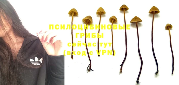 ешки Балабаново