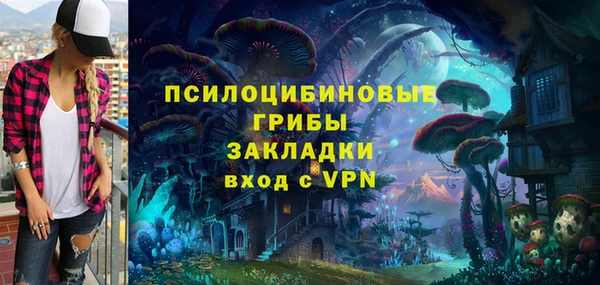 дурь Балахна