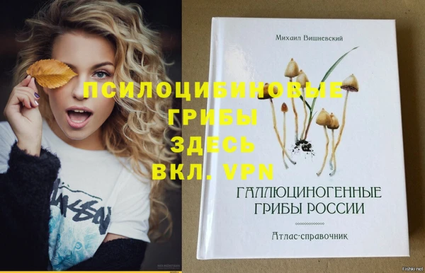 герыч Баксан