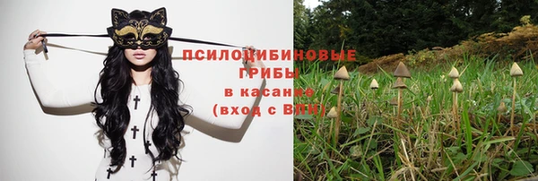 дурь Балахна